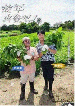 蒙面歌王